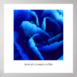 Secrets of a Carnation in Blue Poster