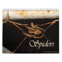 Secrets of a Garden Spider Wall Calendar