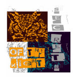secrets of the night t shirt