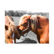 Secrets posters by marlodianne Secrets posters