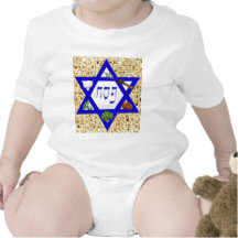 Seder Plate T-shirts