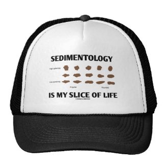 Sedimentology Is My Slice Of Life (Rocks) Mesh Hats