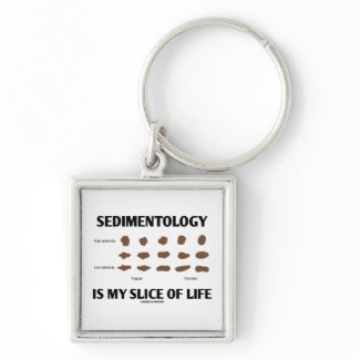 Sedimentology Is My Slice Of Life (Rocks) Keychains