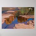 Sedona, Arizona Reflections 4021 posters