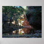 Sedona Canyon Reflections 1158 Print