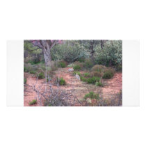 Sedona Path photo cards by Eudoron Sedona Path photo cards