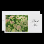 Sedum "Autumn Joy" - Thank You photo cards