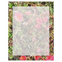 Sedum Letterhead Design