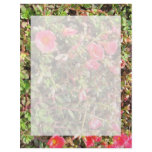 Sedum Letterhead Design