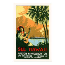 See Hawaii Travel Poster posters