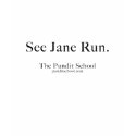 See Jane . . .See Jane Run. t-shirts
