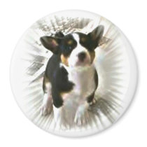 See me basenji magnet