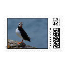 See me Puffin Postage