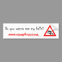 see_my_balls bumper stickers