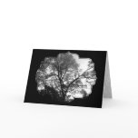 See My Tree Greeting Card