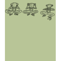 see no evil frogs t-shirts