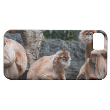 See No Evil, Hear No Evil, Do No Evil iPhone 5 Covers