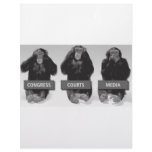See No Evil ~ Hear No Evil ~ Speak No Evil Letterhead Design