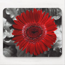 see red mousepads