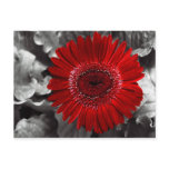 see red post card