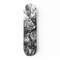 See through the limbs...Skateboard