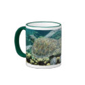 See Turtle mugs by pdlambert See Turtle mugs