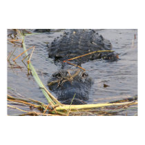 See You Later Alligator posters by pattirm1 See You Later Alligator posters