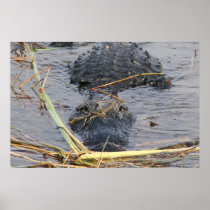 See You Later Alligator Posters