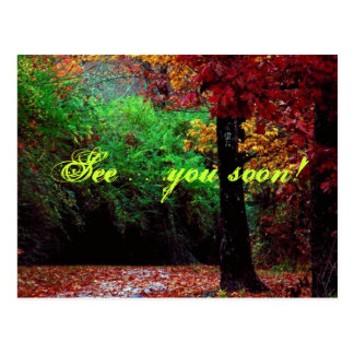 See...you soon! Forest Postcard