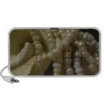 when is ipad 2 coming out | sea stones, doodle speakers, speakers, green, sea stones, doodle speakers, speakers, green,