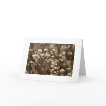 Seed a friendship cards by mniebuhr Seed a friendship cards