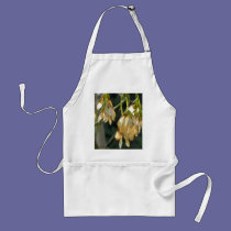 Seed aprons