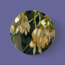 Seed buttons