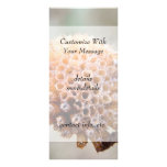 Seed Head - Bee Balm Personalized Rack Card