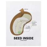Seed Inside (Biology Humor Food For Thought) Flyer