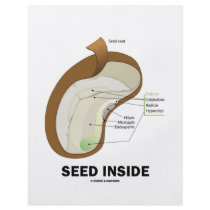 Seed Inside (Biology Humor Food For Thought) Flyer