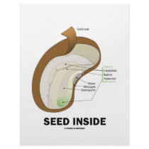 Seed Inside (Biology Humor Food For Thought) Letterhead Design