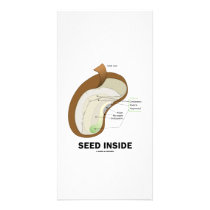 Seed Inside (Biology Humor Food For Thought) photo cards