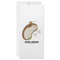 Seed Inside (Biology Humor Food For Thought) rack cards by wordsunwords Seed Inside (Biology Humor Food For Thought) rack cards