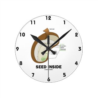 Seed Inside (Dicotyledon Bean Seed Anatomy) Clocks