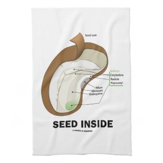 Seed Inside (Dicotyledon Bean Seed Anatomy) Kitchen Towels