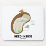 Seed Inside (Dicotyledon Bean Seed Anatomy) Mouse Pad