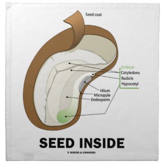 Seed Inside (Dicotyledon Bean Seed Anatomy) Napkins