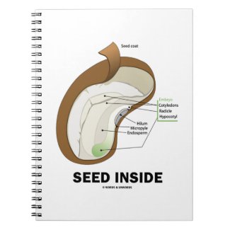 Seed Inside (Dicotyledon Bean Seed Anatomy) Notebook