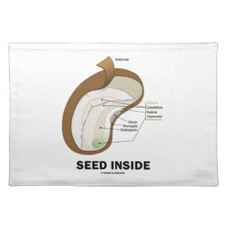 Seed Inside (Dicotyledon Bean Seed Anatomy) Place Mat