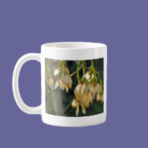 Seed mugs