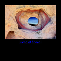 Seed of Space/T-Shirt