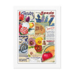 Seed Packets Post Card