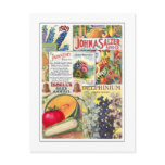 Seed Packets Postcard