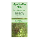 Seed Pod Business Advert Rack Cards rack cards